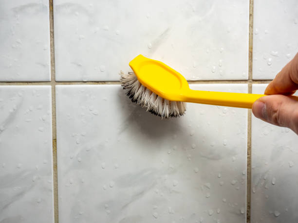 Trusted Brooklyn, IN Mold Remediation Experts