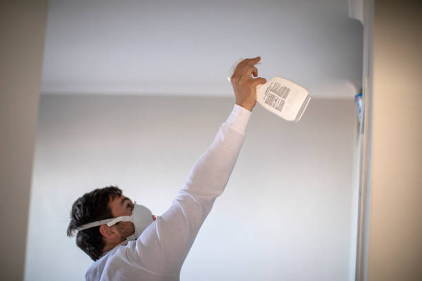 Best Industrial Mold Remediation in Brooklyn, IN