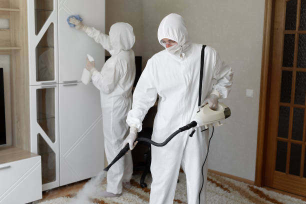 Best Post-Flood Mold Remediation in Brooklyn, IN